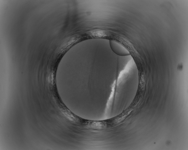 X0000097990330200804211111