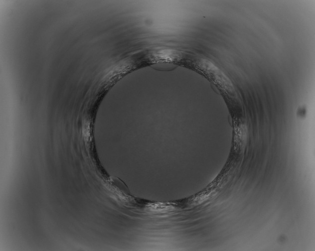 X0000097990331200804211111