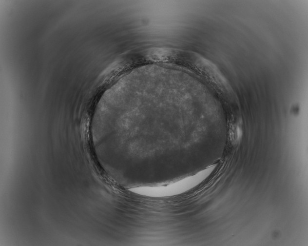 X0000097990332200804211111