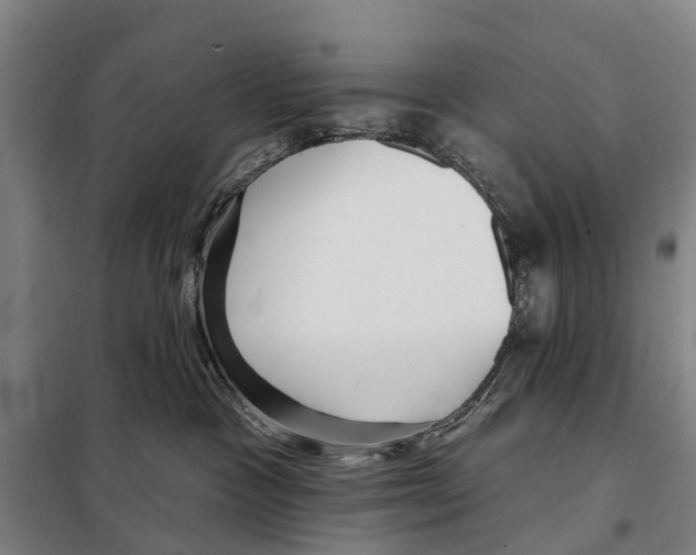 X0000097990333200804211111