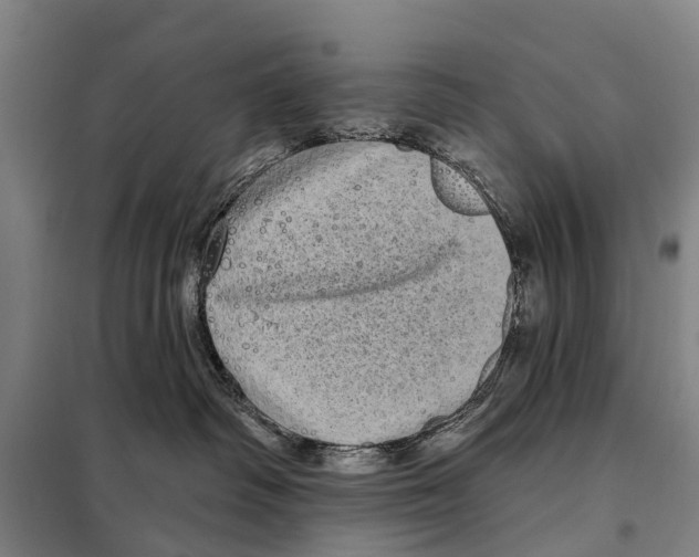 X0000097990334200804211111