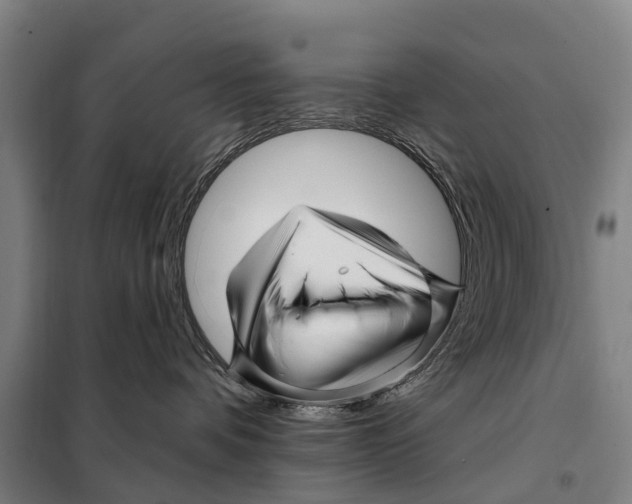 X0000097990336200804211111