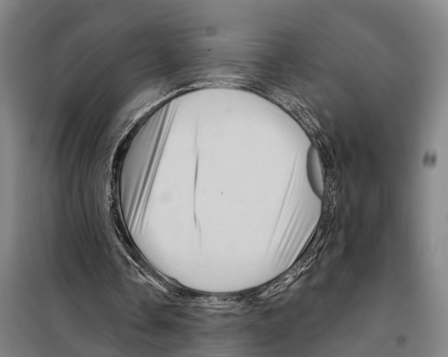 X0000097990338200804211110