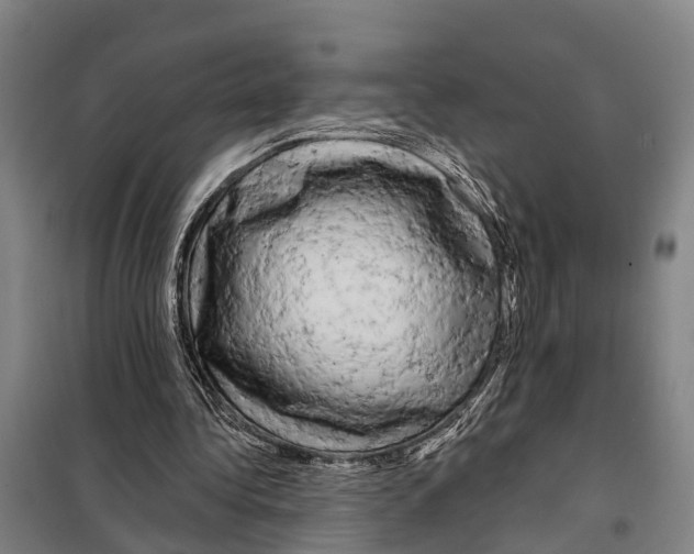 X0000097990340200804211110