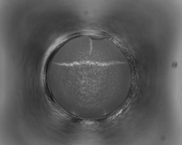 X0000097990343200804211110