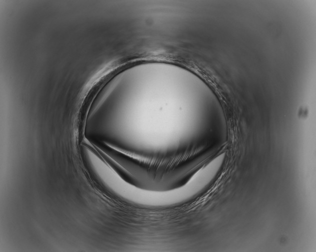 X0000097990344200804211110