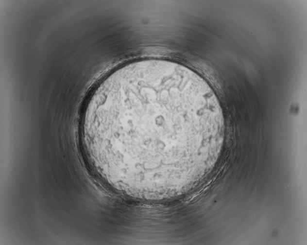 X0000097990346200804211110