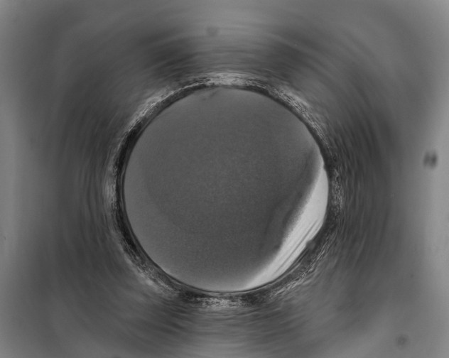 X0000097990347200804211110