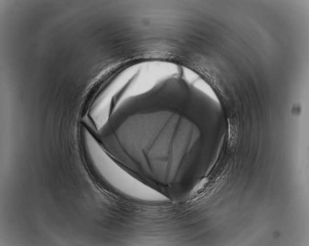 X0000097990348200804211110