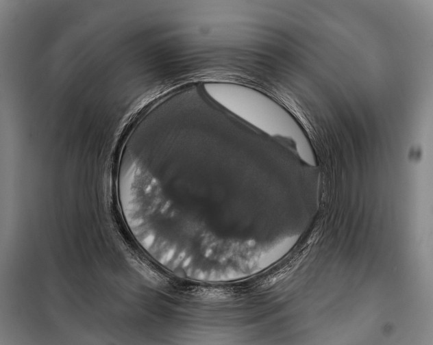 X0000097990349200804211110