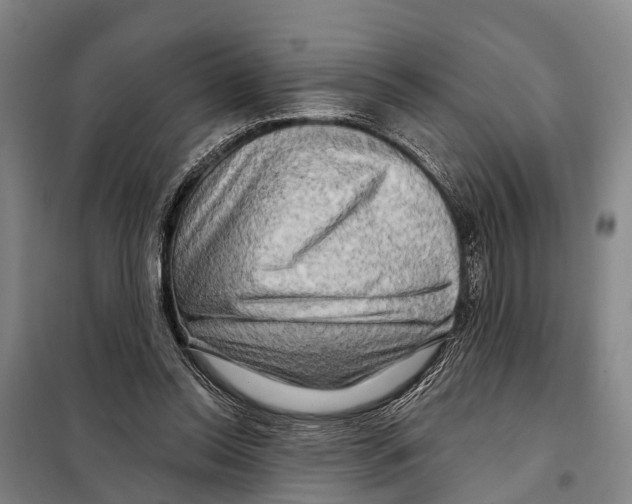 X0000097990350200804211110