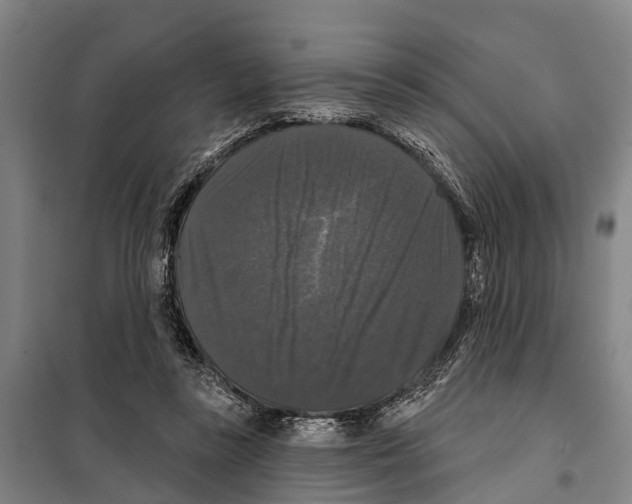 X0000097990355200804211110