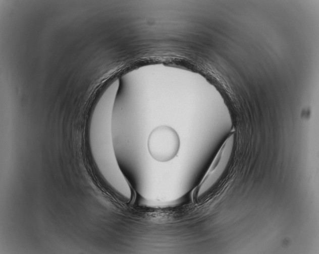 X0000097990356200804211110