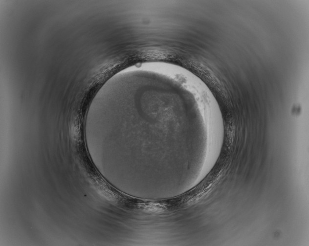 X0000097990359200804211110