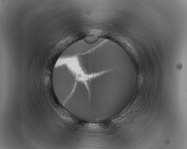 X0000097990361200804211110