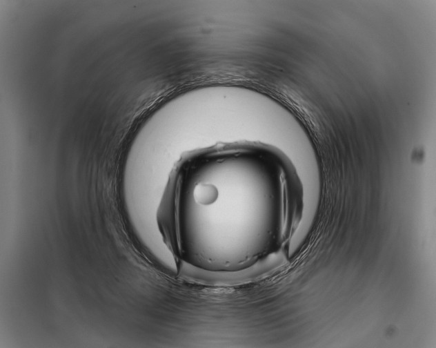 X0000097990362200804211110