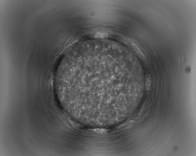 X0000097990363200804211110