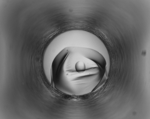 X0000097990364200804211110