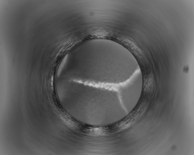 X0000097990365200804211110