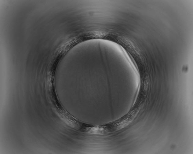 X0000097990366200804211110