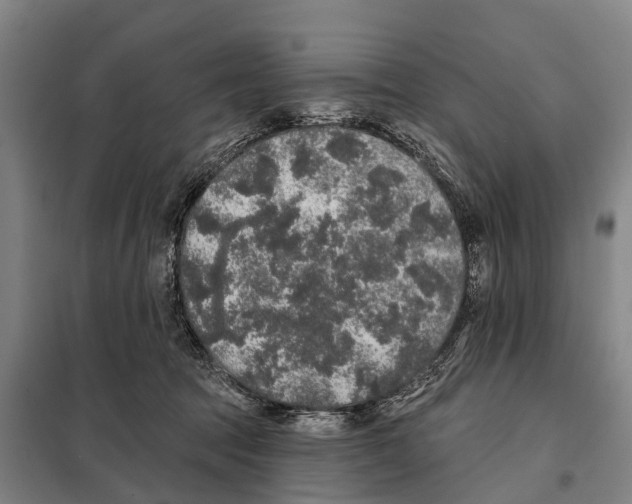 X0000097990369200804211110