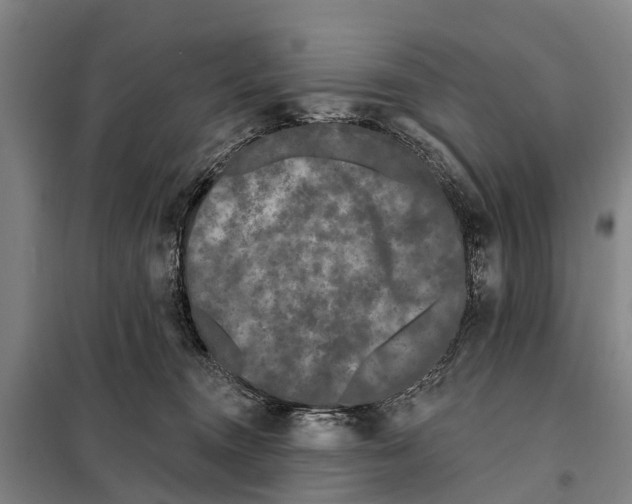 X0000097990372200804211110