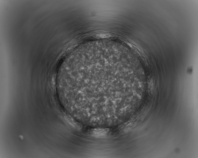 X0000097990373200804211110