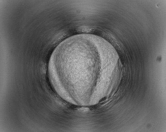 X0000097990374200804211110