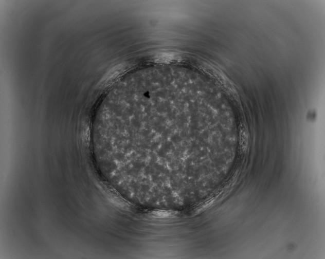 X0000097990375200804211110