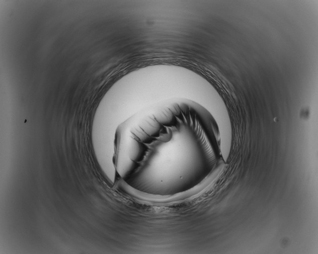 X0000097990376200804211111