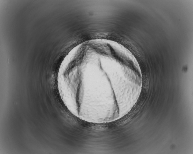 X0000097990378200804211111