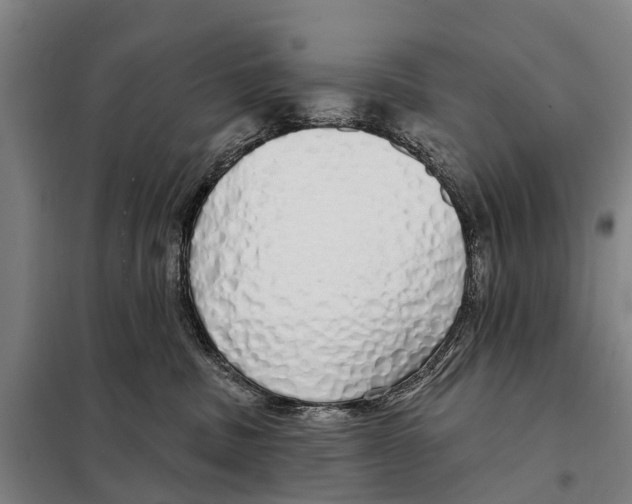 X0000097990379200804211111