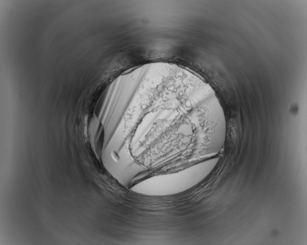 X0000097990380200804211111