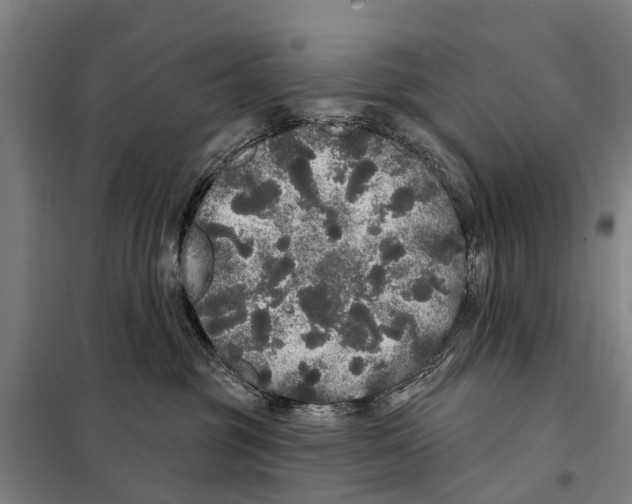 X0000097990381200804211111