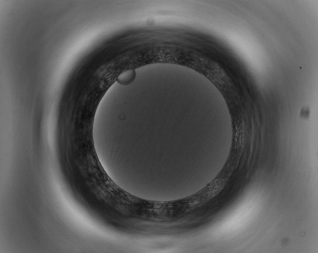 X0000097990383200804211111