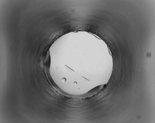 X0000097990384200804211111