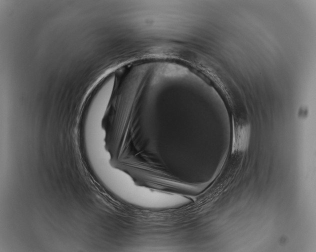 X0000097990387200804211110