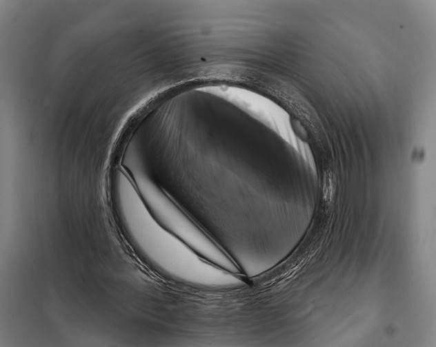 X0000097990388200804211110