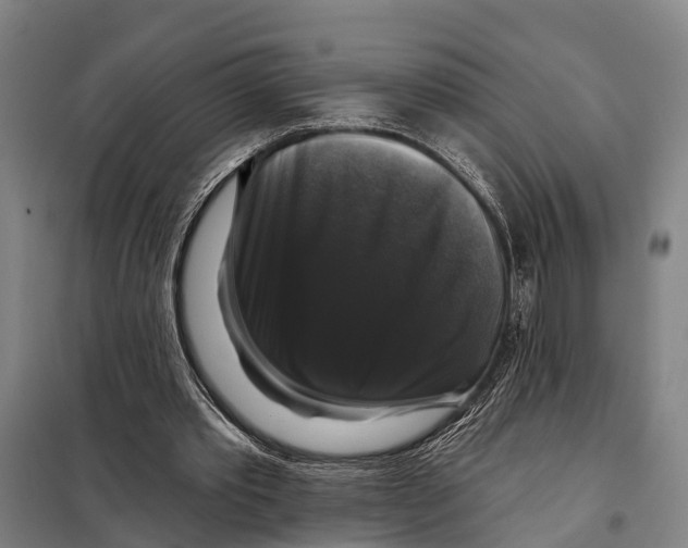 X0000097990389200804211110