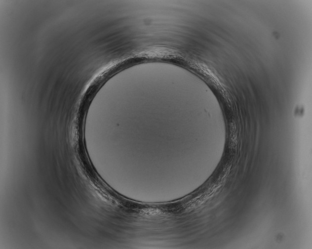 X0000097990392200804211110