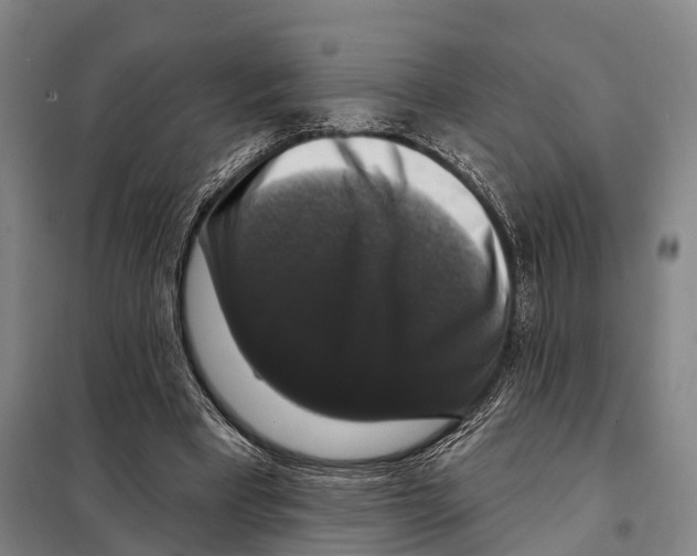 X0000097990393200804211110