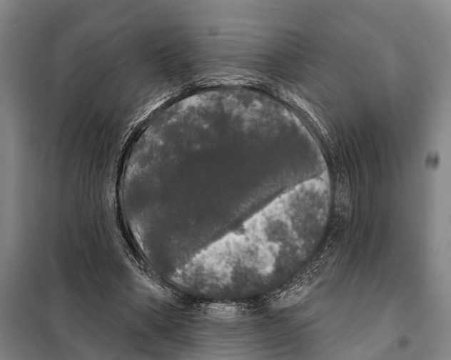 X0000097990394200804211110