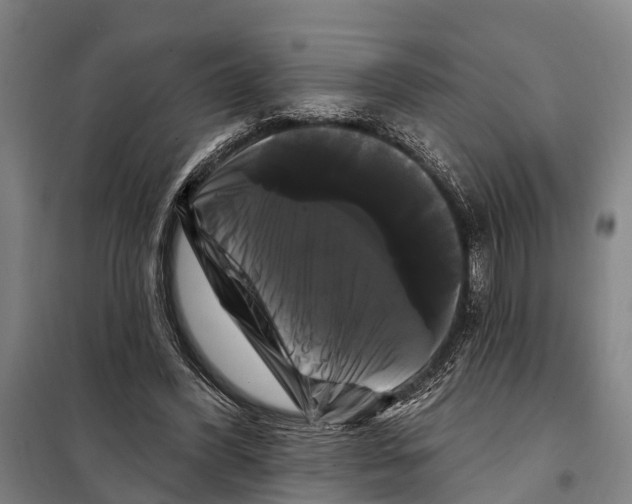 X0000097990396200804211110