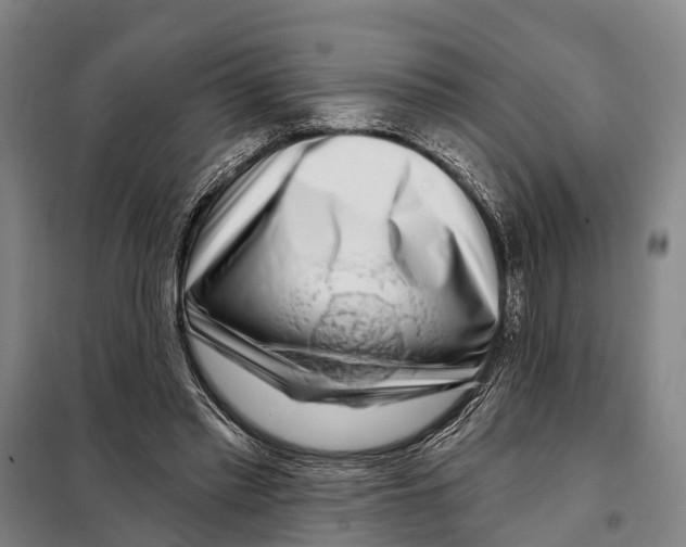 X0000097990397200804211110