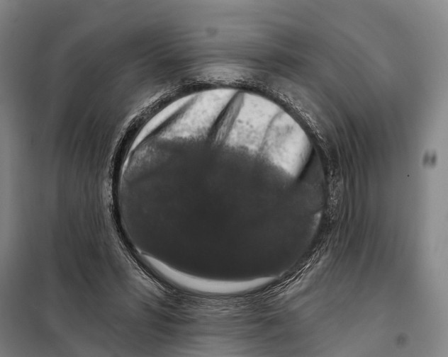 X0000097990399200804211110