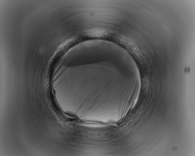 X0000097990400200804211110