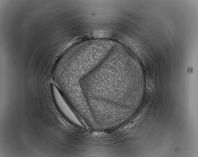 X0000097990401200804211110