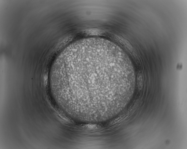 X0000097990406200804211109