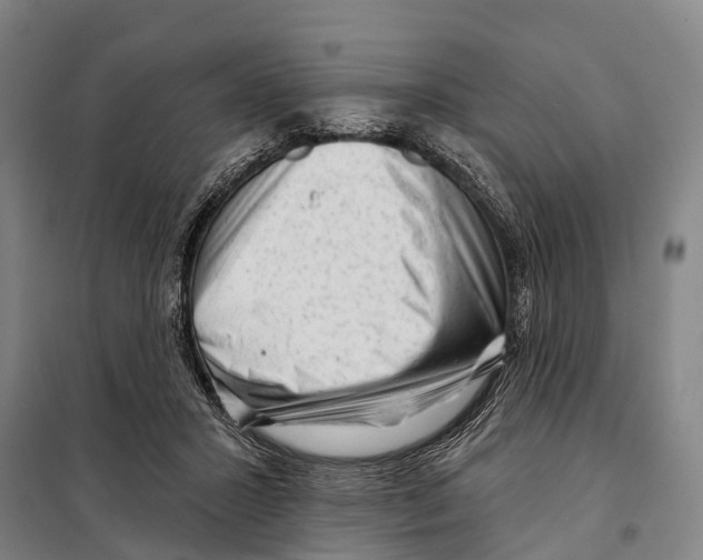 X0000097990407200804211109