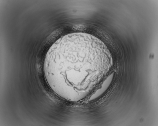 X0000097990408200804211109